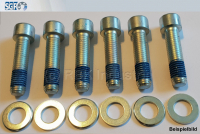 SGF - Schraubensatz M10 X 30 BI-10003